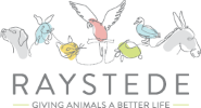 Raystede